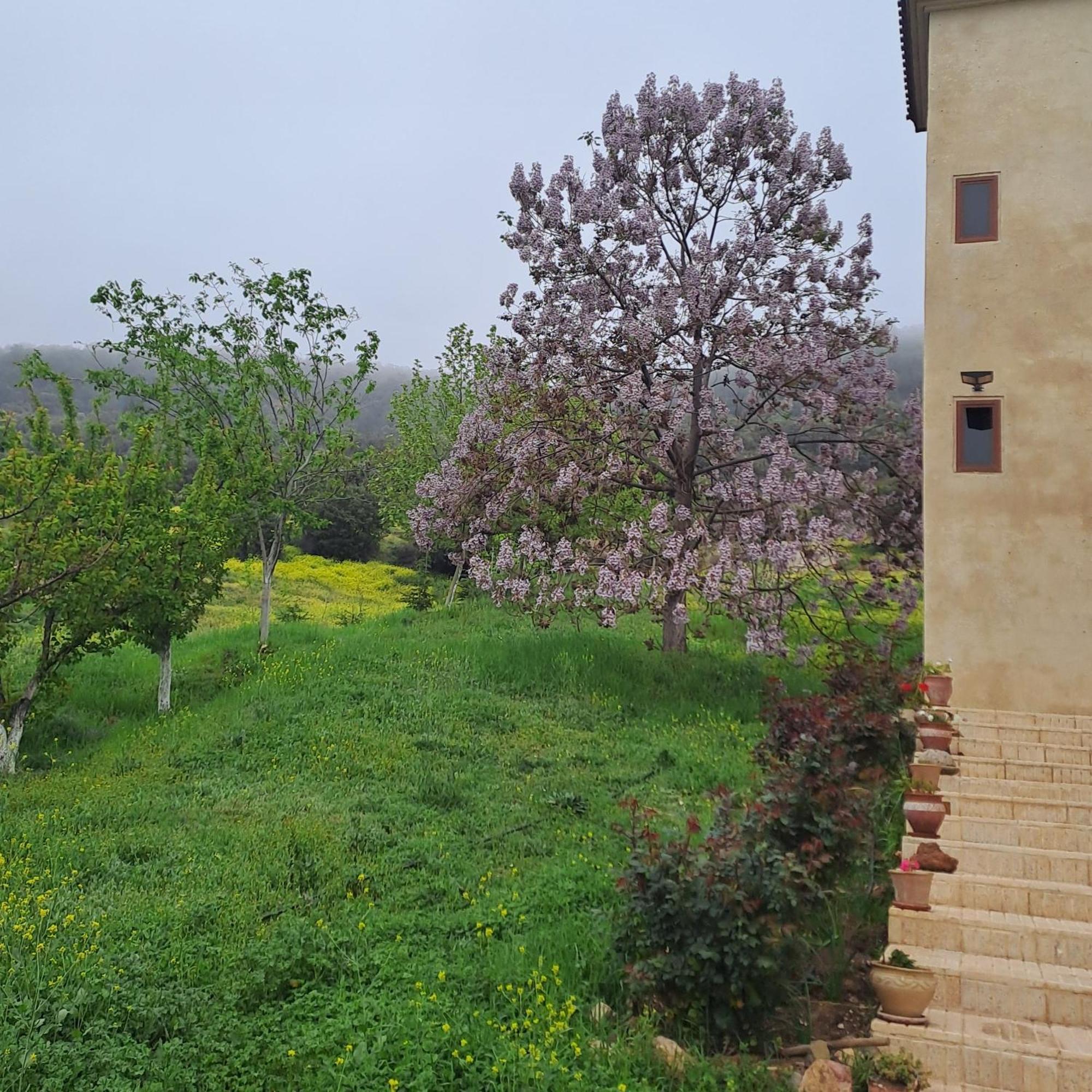 Le Chêne d´Azrou Exterior foto