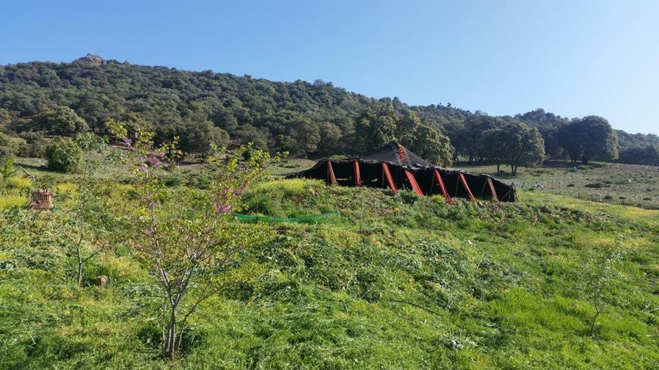 Le Chêne d´Azrou Exterior foto